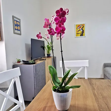 Marina Paradise Cagliari